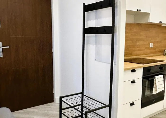 Warszawska 35 Apartment *